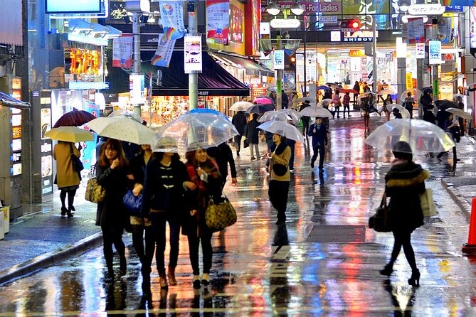 Tokyo in a Day : Private Tour to Shrine, Temples, Towers &Culture - Shibuya Crossing in Thirty Minutes