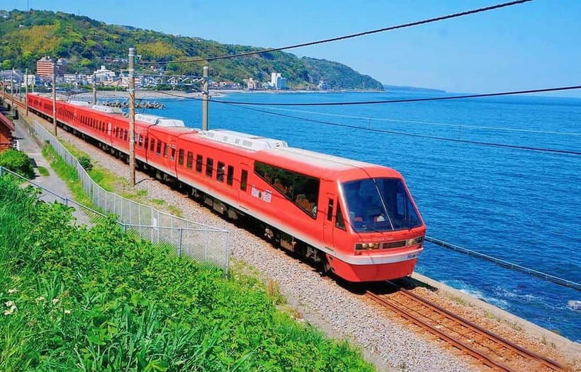 Tokyo: Izu Scenic Oceanview Train, Volcano, Coast Day Trip - Key points to know before booking