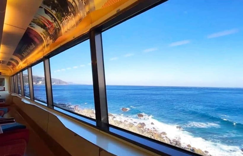 Tokyo: Izu Scenic Oceanview Train, Volcano, Coast Day Trip - Leaving Shinjuku for Izu