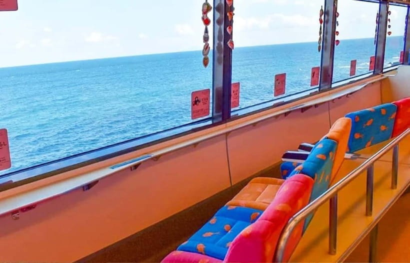 Tokyo: Izu Scenic Oceanview Train, Volcano, Coast Day Trip - Plants, animals, and extra admission costs