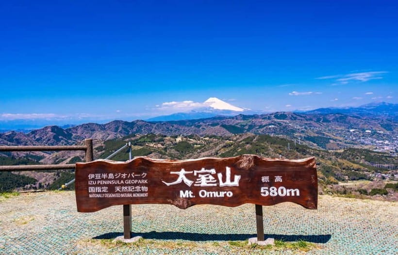 Tokyo: Izu Scenic Oceanview Train, Volcano, Coast Day Trip - Who will enjoy this Izu day trip