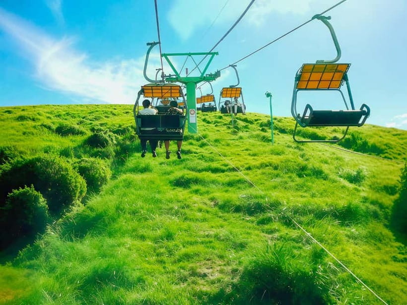 Tokyo: Izu Scenic Train, Volcano, Ocean&Capybara Cuddle Trip - Why this Izu day trip works