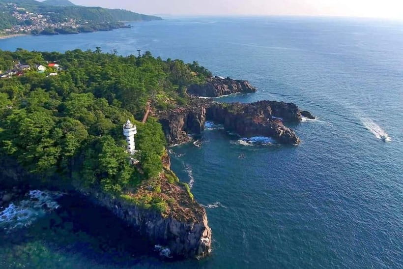 Tokyo: Izu Scenic Train, Volcano, Ocean&Capybara Cuddle Trip - Crossing Kadowaki Suspension Bridge