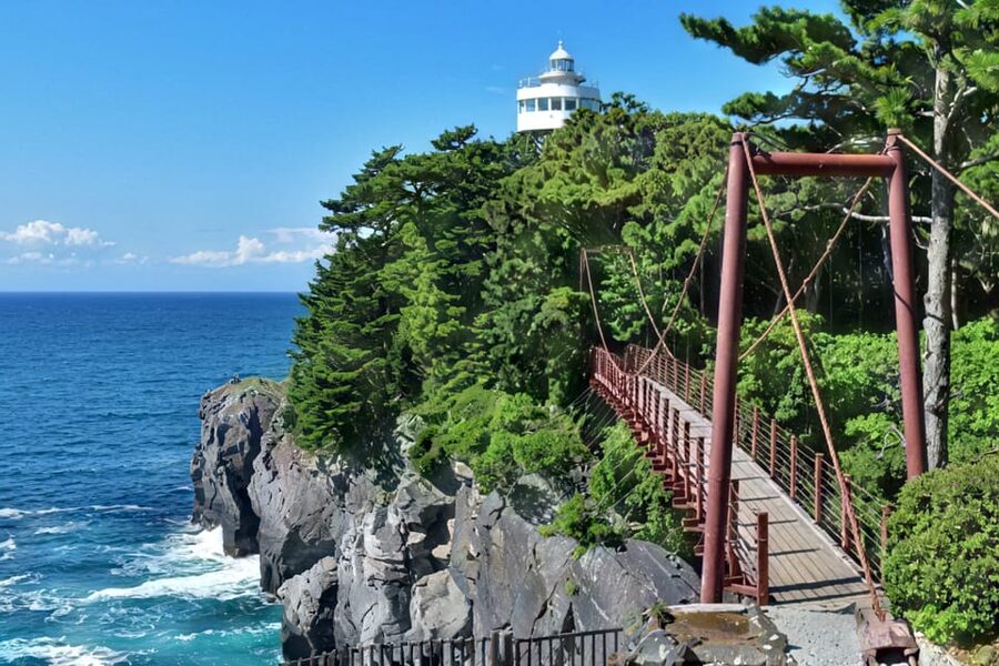 Tokyo: Izu Scenic Train, Volcano, Ocean&Capybara Cuddle Trip - Capybaras at Izu Cactus Park