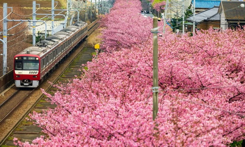 Tokyo: Izu Scenic Train, Volcano, Ocean&Capybara Cuddle Trip - Leaving Tokyo for the Jogasaki Coast