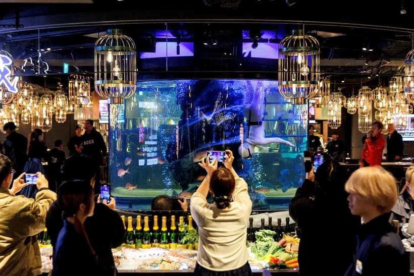 Tokyo: Japanese Experiece Dinner with Diving Ama Performance - Settling In Under the Aquarium Light