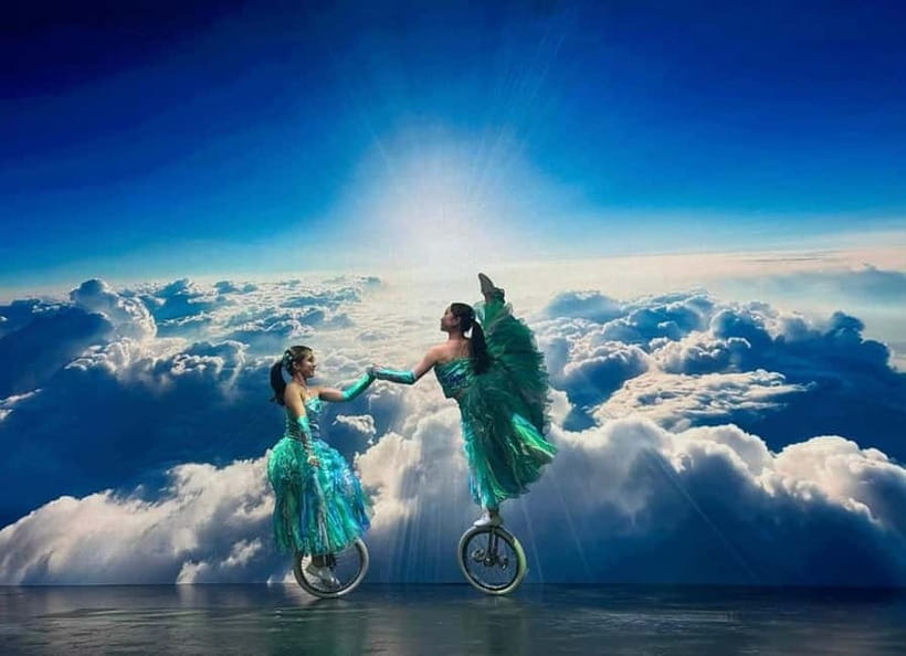 Tokyo: Japanese Style Variety Show with Dance,Magic & Dinner - Who will enjoy this show most