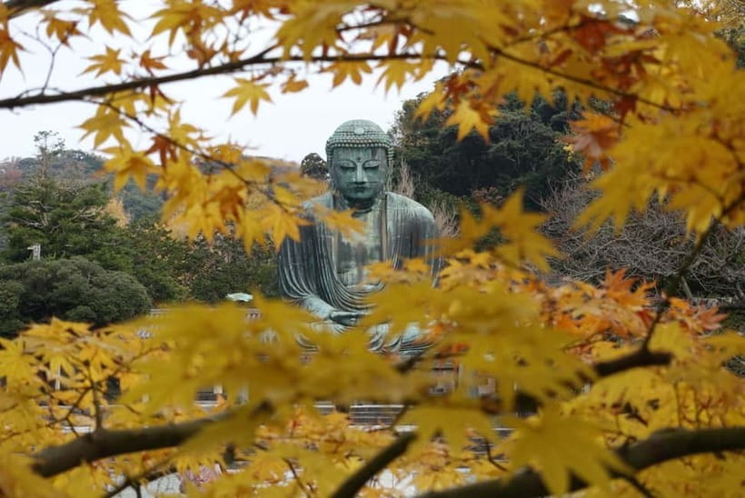 Tokyo: Kamakura & Enoshima Day Trip including Temple Tickets - Kōtoku-in and the Great Buddha