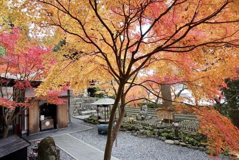 Tokyo: Kamakura & Enoshima Day Trip including Temple Tickets - Tsurugaoka Hachimangu and Kamakura’s samurai past