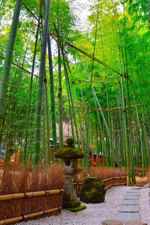 Tokyo: Kamakura Private Tour With Guide - Food, beaches, and personal requests