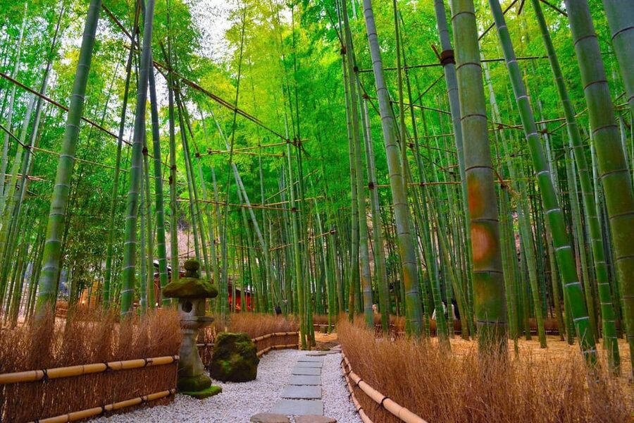 Tokyo: Kamakura Private Tour With Guide - Booking details to check before you go