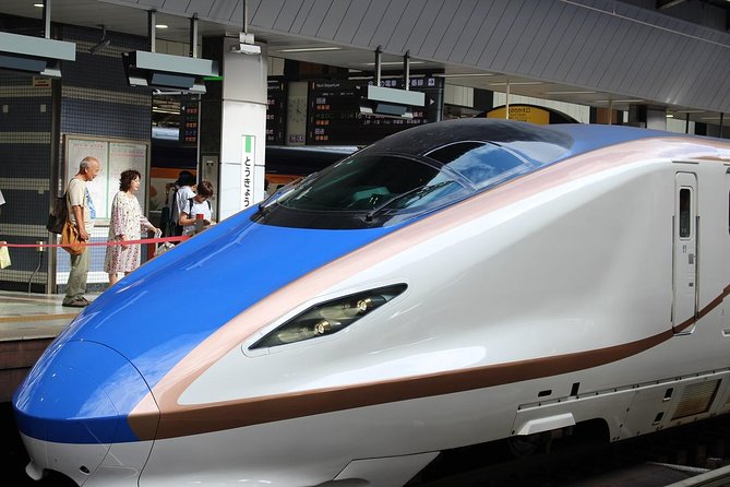 Tokyo Layover Tour with a Local – Private & Tailored to You - Leaving Narita or Haneda without guesswork