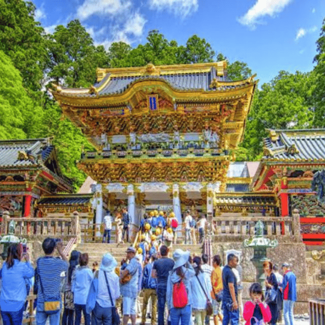 Tokyo: Luxury Nikko Private 1 Day Tour Low Price Guaranteed - Key points to know before booking