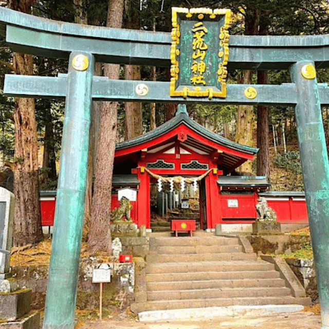 Tokyo: Luxury Nikko Private 1 Day Tour Low Price Guaranteed - Who will enjoy this private Nikko day