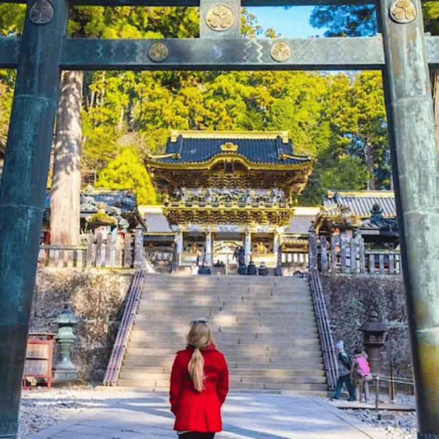 Tokyo: Luxury Nikko Private 1 Day Tour Low Price Guaranteed - What the $410 price really buys
