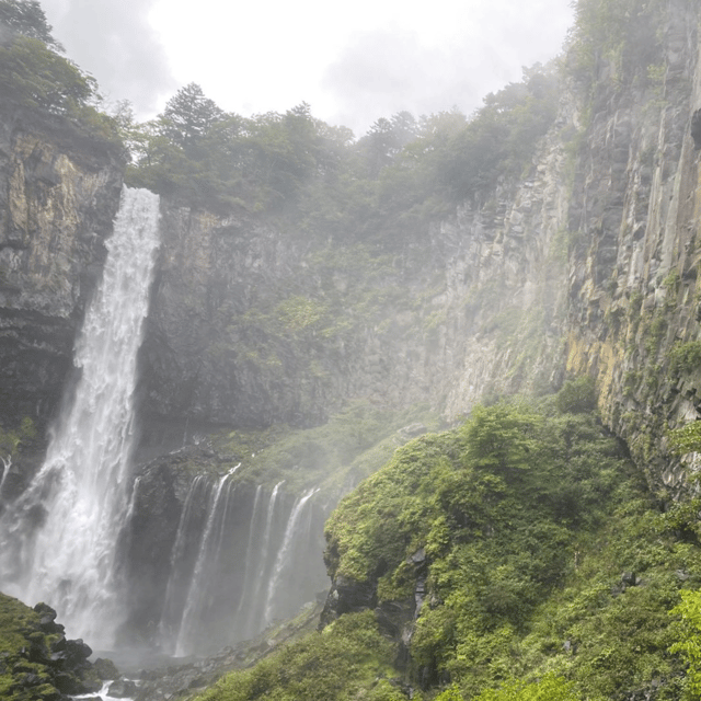 Tokyo: Luxury Nikko Private 1 Day Tour Low Price Guaranteed - Starting with a comfortable private ride