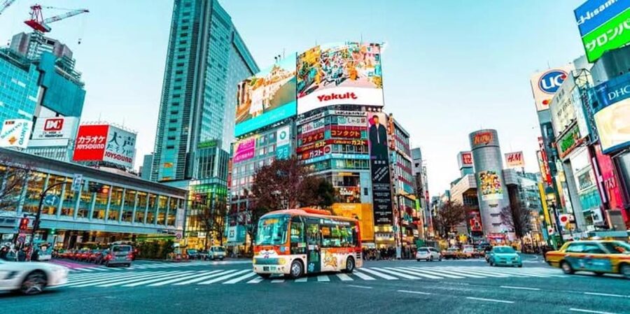 Tokyo:Luxury Private Tour with English-Speaking driver - Key points to know before booking
