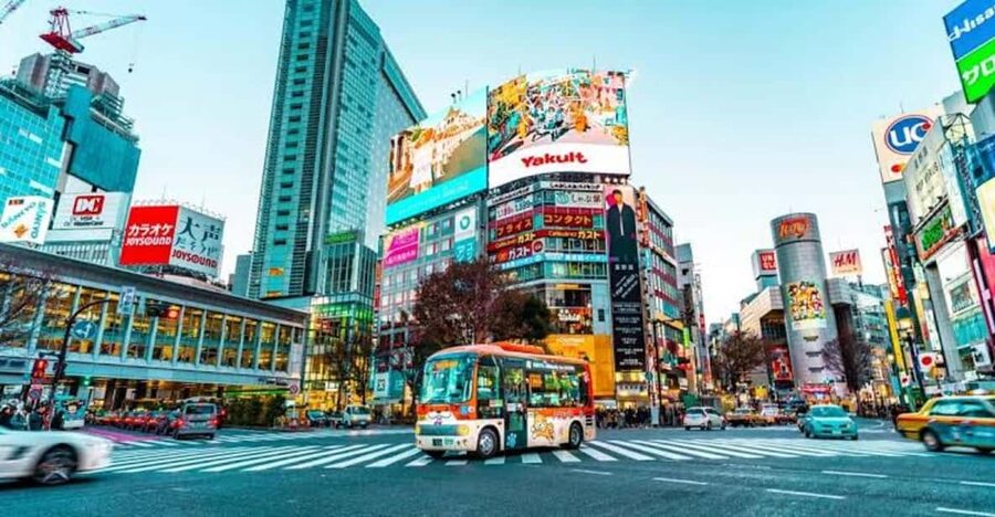 Tokyo:Luxury Private Tour with English-Speaking driver - Tokyo Skytree: pay extra for the big view