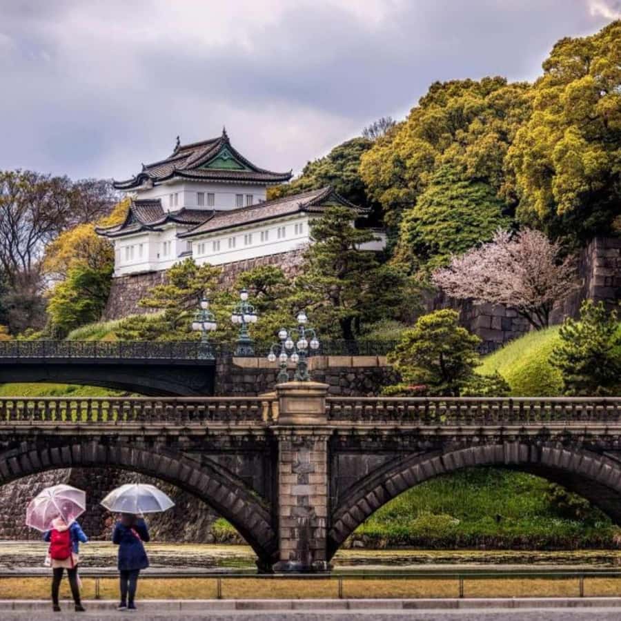 Tokyo: Luxury Tokyo Private City Tour In Luxury Land Cruiser - Key points to know before booking