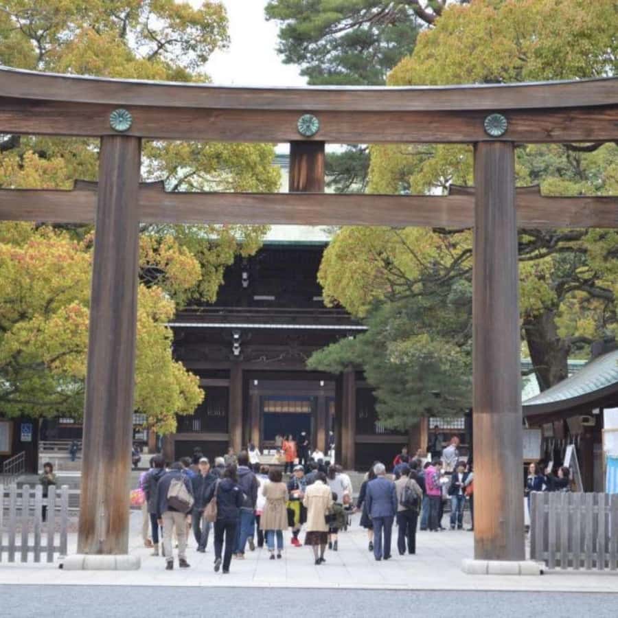 Tokyo: Luxury Tokyo Private City Tour In Luxury Land Cruiser - The private format is the real advantage