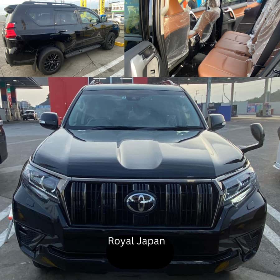 Tokyo: Luxury Tokyo Private City Tour In Luxury Land Cruiser - The Imperial Palace is mainly a central Tokyo landmark