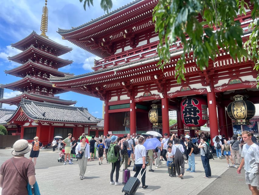 Tokyo: Meiji Jingu Shrine and Shinto Culture Walking Tour - Meeting at Harajuku’s Starbucks