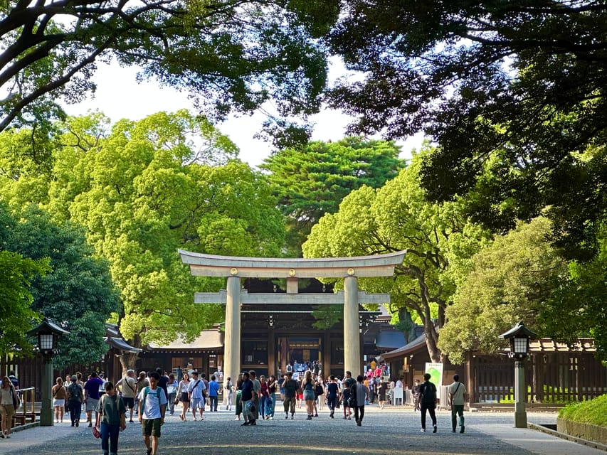 Tokyo: Meiji Jingu Shrine and Shinto Culture Walking Tour - What the Guides Add to the Walk