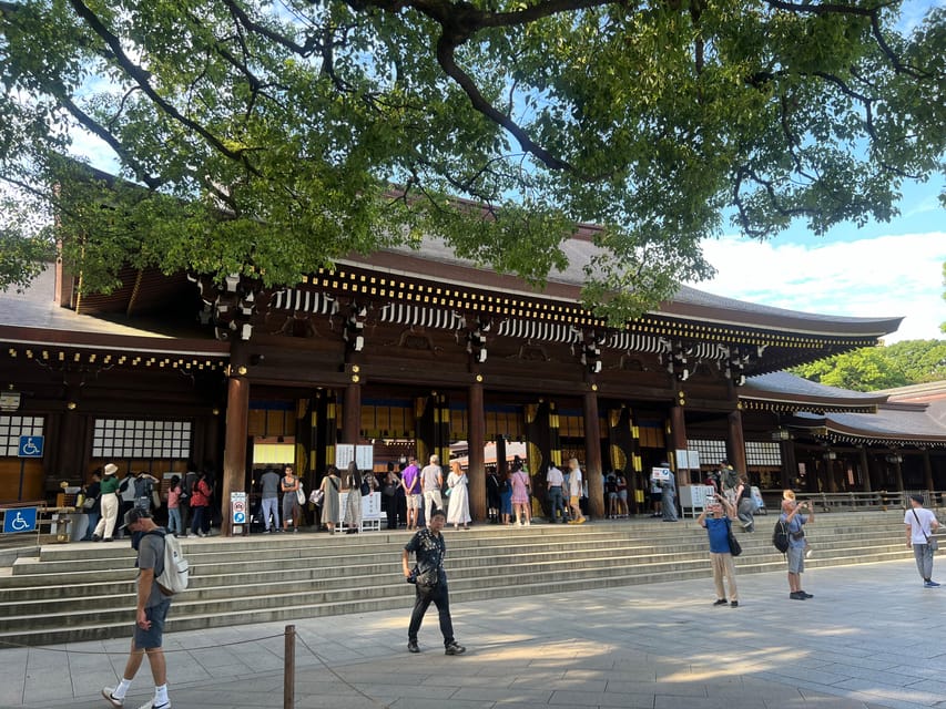 Tokyo: Meiji Jingu Shrine and Shinto Culture Walking Tour - The Value of $19