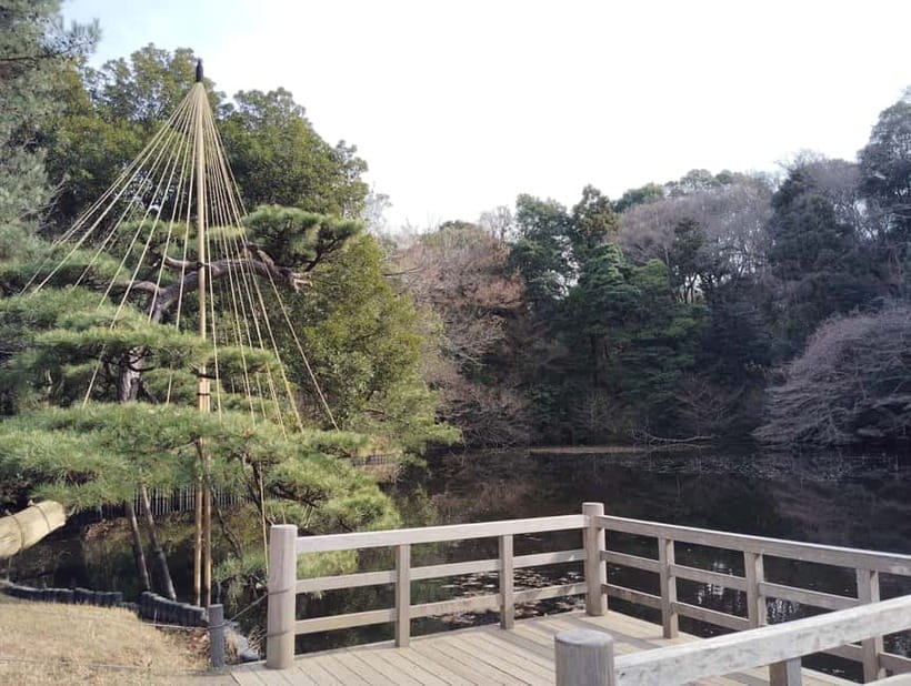 Tokyo: Meiji Jingu Shrine & Inner Garden Guided Tour (2h) - Is $48 a Fair Price?