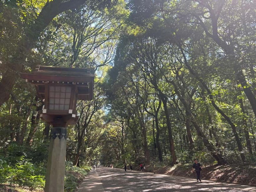 Tokyo: Meiji Jingu, Yoyogi Park & Takeshita Street Tour - Why Harajuku is such a good Tokyo introduction