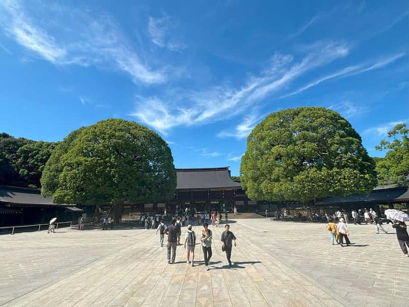 Tokyo: Meiji Jingu, Yoyogi Park & Takeshita Street Tour - Finishing on Omotesando’s polished avenue