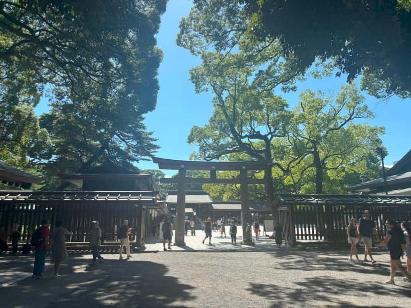 Tokyo: Meiji Jingu, Yoyogi Park & Takeshita Street Tour - What the guides add to the walk