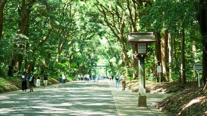 Tokyo: Meiji Shrine Walking Tour — Shinto & Imperial System - Why Meiji Shrine feels far from Tokyo