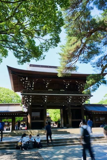 Tokyo: Meiji Shrine Walking Tour — Shinto & Imperial System - The first torii and the rules of a sacred path