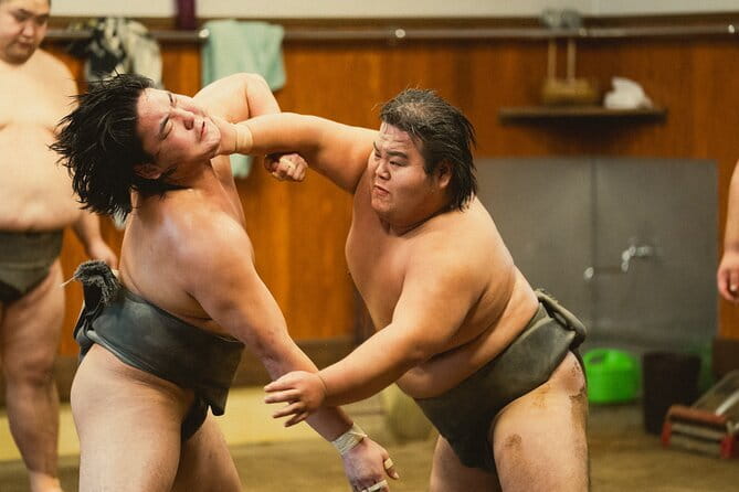 Tokyo: Meiji Shrine Walking Tour — Shintoism & Imperial System - What the guide adds to the visit