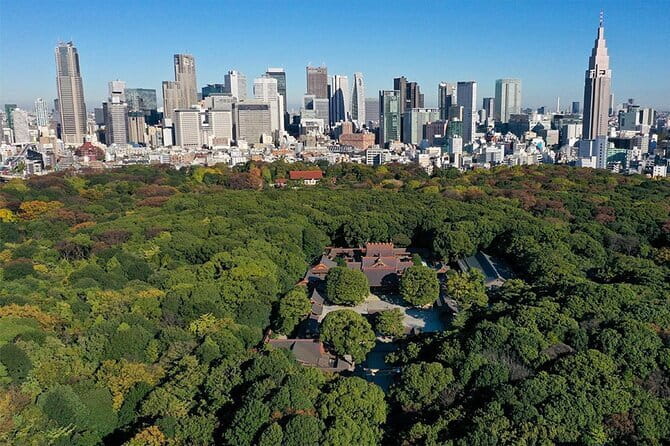 Tokyo: Meiji Shrine Walking Tour — Shintoism & Imperial System - Understanding Shinto at the main shrine