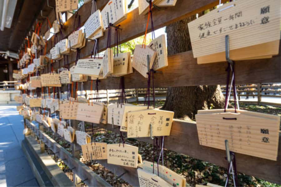 Tokyo: Meiji Shrine Walking Tour with Local Guide - What $20 gets you and where the value lies