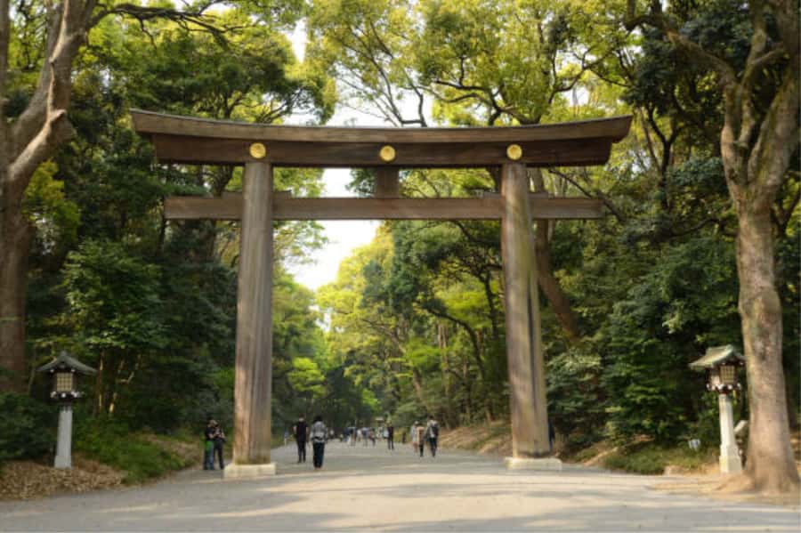 Tokyo: Meiji Shrine Walking Tour with Local Guide - Who should book this Meiji Shrine experience