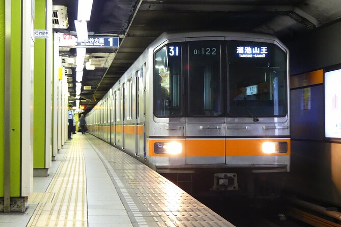 Tokyo Metro Subway Ticket - Key points to know before you buy
