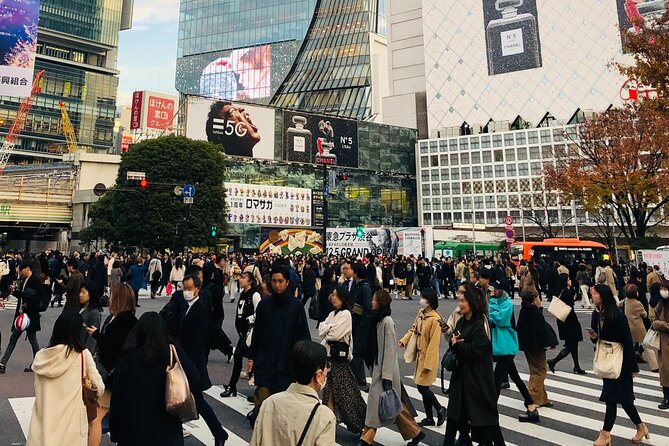 Tokyo Morning City Tour with Pick-up Service from 28 Hotels - A useful first morning in Tokyo