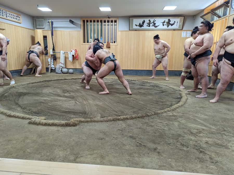 Tokyo: Morning Sumo Practice Viewing - Key points to know before you book