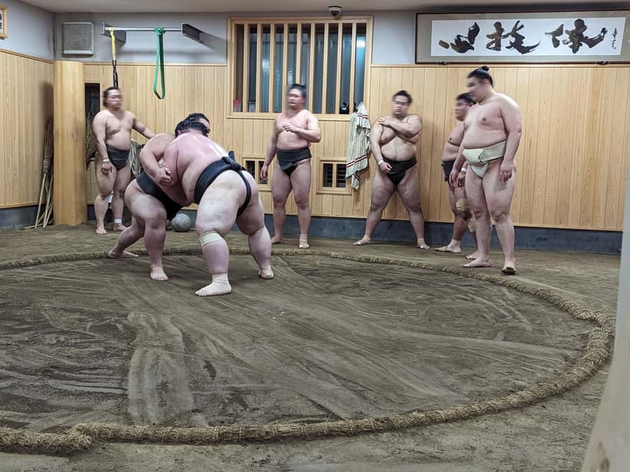 Tokyo: Morning Sumo Practice Viewing - Who should book this sumo experience