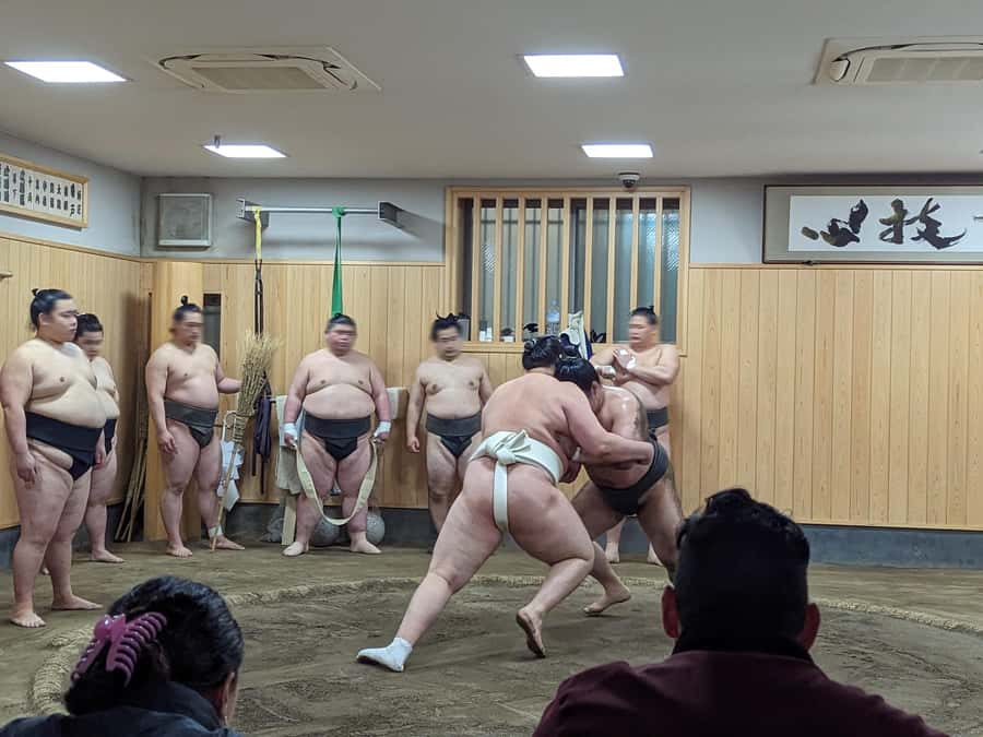Tokyo: Morning Sumo Practice Viewing - The guide sets the rules before you enter