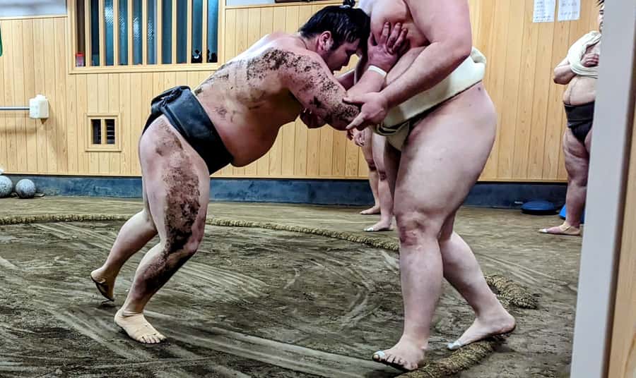 Tokyo: Morning Sumo Practice Viewing - Sitting ringside on a cushion
