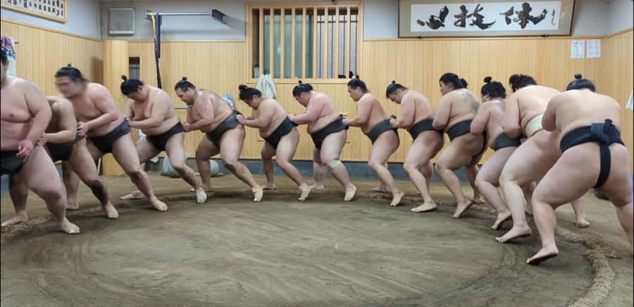Tokyo: Morning Sumo Practice Viewing - Watching the wrestlers fight for rank