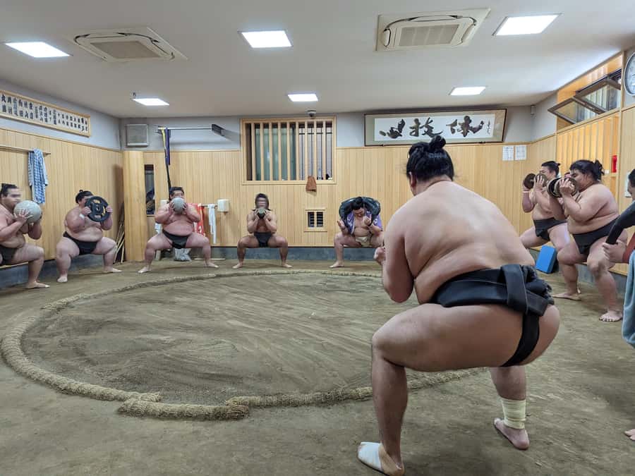 Tokyo: Morning Sumo Practice Viewing - Value compared with a tournament or show