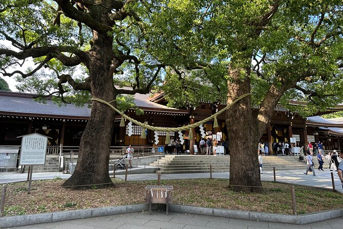 Tokyo Morning Tour: Asakusa, Meiji Shrine and Tsukiji Fish Market - Timing, transport, and physical demands