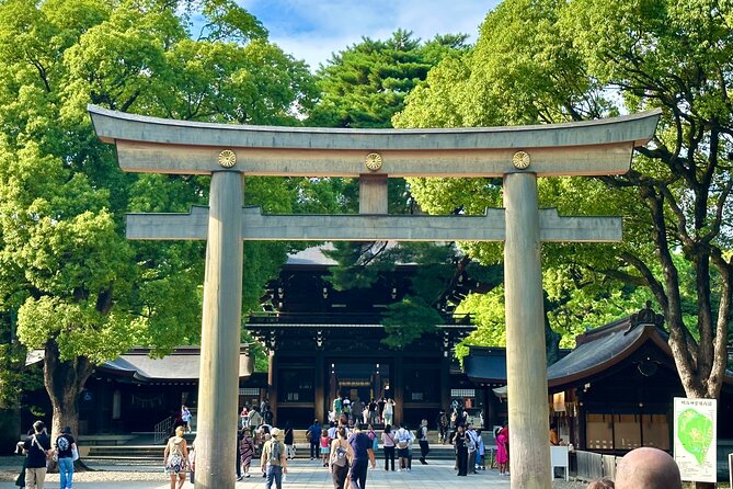 Tokyo Morning Tour: Asakusa, Meiji Shrine and Tsukiji Fish Market - Who will get the most from this morning?