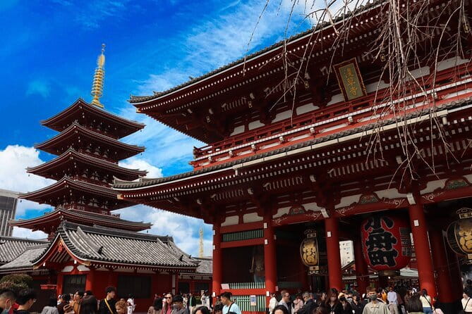 Tokyo Morning Tour : Meiji Shrine, Asakusa and Fish Market - The guides are a major part of the value