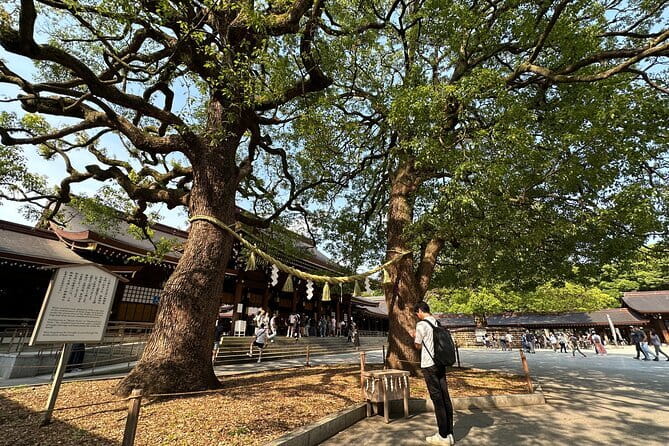 Tokyo Morning Tour : Meiji Shrine, Asakusa and Fish Market - Is $72.67 a fair price?